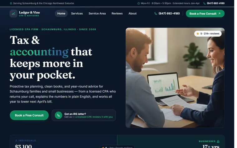 Accountant website example - Ledger & Vine CPA home page